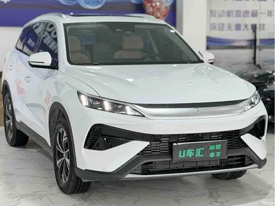 2025 BYD Song Pro New Energy 2nd Gen DM-i 75KM Surpass, фото 3, лот 10273320