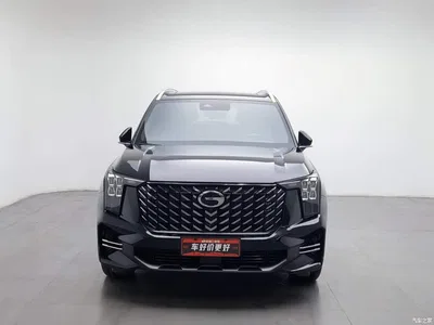 2025 GAC Trumpchi Trumpchi GS8 Pilot Series 2.0TGDI AWD Luxury Edition 5-Seater, фото 3, лот 11584555