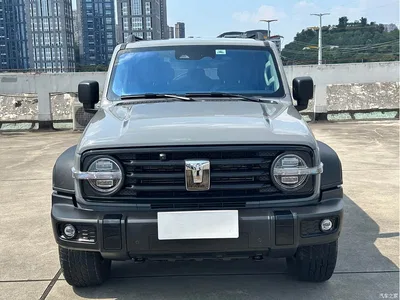 2023 Tank 300 Off-Road Edition 2.0T Conqueror, фото 2, лот 10344178