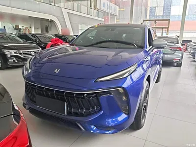 2021 Dongfeng Fengxing T5 EVO 1.5TD DCT Diamond Edition, фото 3, лот 11148535