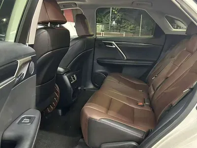 2016 Lexus RX 300 2WD Elite Edition (China V), фото 4, лот 10444468