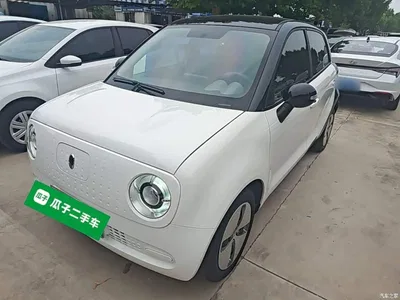 2021 Ora Black Cat 301km Basic Model, фото 2, лот 11226161