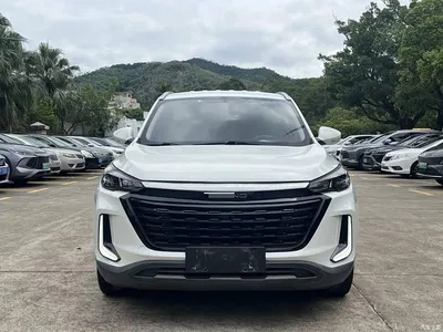 2019 BAIC Beijing X3 1.5T CVT Glory Edition, фото 2, лот 10829858