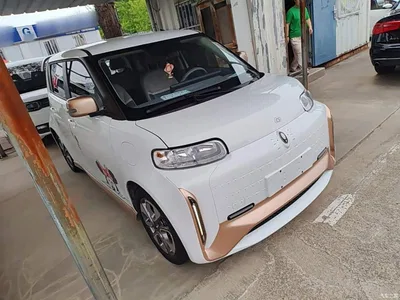 2022 Ora White Cat Wildcat Edition 360km Luxury (NMC), фото 4, лот 10330706