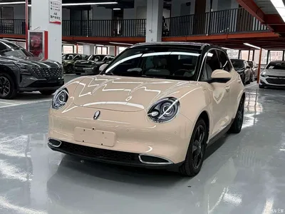 2024 Ora Good Cat 401km Premium 126kW, фото 1, лот 11196009