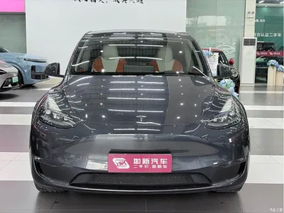 2024 Tesla Model Y Long Range AWD, фото 3, лот 10454907