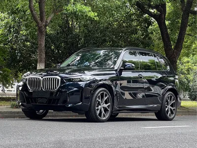 2023 BMW X5 xDrive 30Li Premium M Sport Black Night Package, фото 1, лот 10445664
