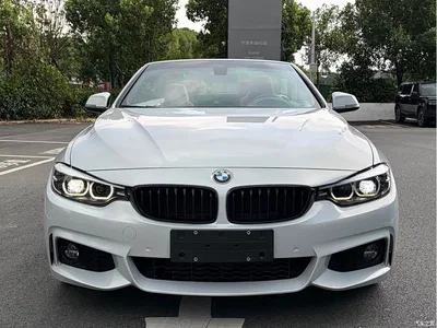 2019 BMW 4 Series 425i Convertible M Sport Package, фото 2, лот 10468550