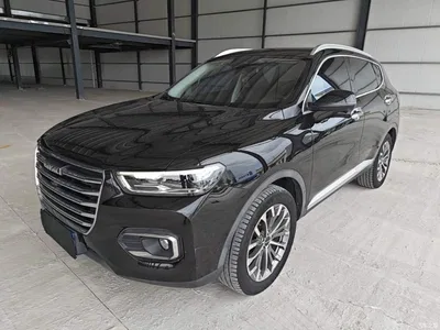 2020 Haval H6 1.5GDIT Automatic Platinum Champion Edition, фото 2, лот 10286077