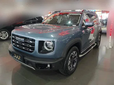 2021 Haval Big Dog Facelift 2.0T DCT AWD Howling Celestial Dog Edition, фото 2, лот 11549688
