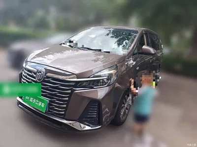 2023 Buick GL8 Facelift Land Business Class Luxury, фото 2, лот 10807973
