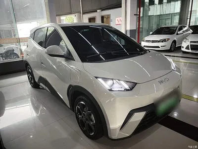 2024 BYD Seagull Glory Edition 305km Vitality Edition, фото 4, лот 11134277