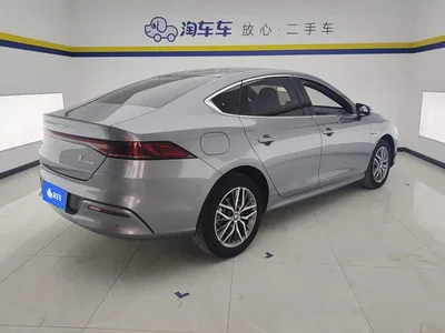 2024 BYD Qin PLUS Glory Edition DM-i 120KM Surpass, фото 3, лот 10362914
