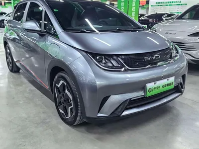 2021 BYD Dolphin Model 405km Fashion Edition, фото 3, лот 10246726