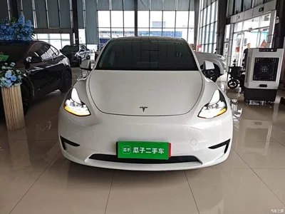2022 Tesla Model Y Rear-Wheel Drive Version, фото 3, лот 10370233