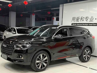 2023 Haval H6 National Trend Edition 1.5T Automatic Champion, фото 1, лот 10270712