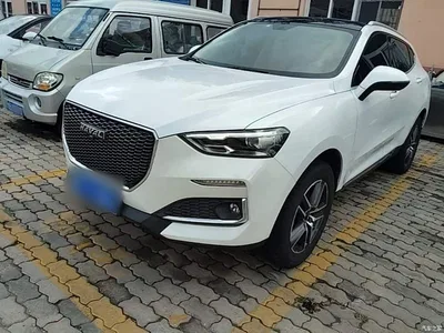 2019 Haval F5 National Trend Edition 1.5T iStyle China VI, фото 1, лот 10285404