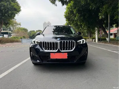 2024 BMW X1 sDrive25Li M Sport Package, фото 2, лот 10427979