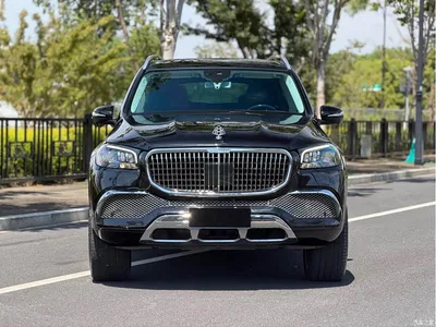 2020 Mercedes-Benz GLS 450 4MATIC Dynamic, фото 2, лот 10620531