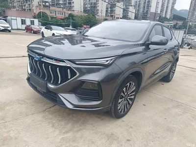 2021 Changan Oshan Changan Oushang X5 1.5T DCT Premium, фото 2, лот 11144687