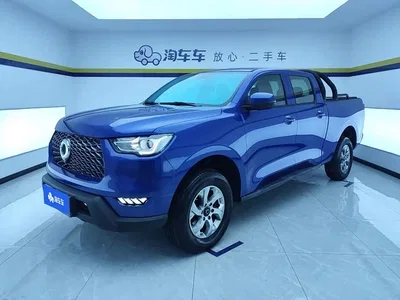 2019 Great Wall Pao 2.0T Commercial Version Manual Gasoline 2WD Elite Long Box GW4C20B, фото 1, лот 11116661
