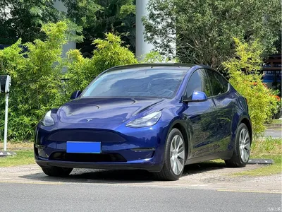 2021 Tesla Model Y Long Range All-Wheel Drive 3D7, фото 1, лот 10452411