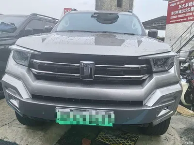 2024 Tank 400 New Energy Hi4-T Off-Road Edition, фото 2, лот 10345055
