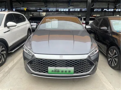 2023 BYD Qin PLUS Champion Edition DM-i 55KM Leading, фото 3, лот 11095541
