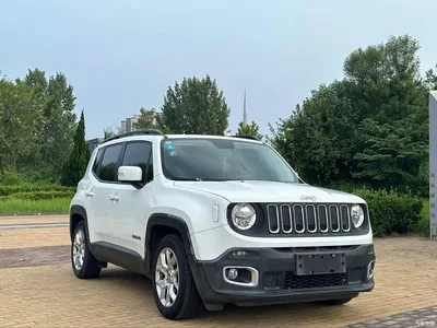 2016 Jeep Renegade 1.4T Automatic Power Edition, фото 3, лот 10887003
