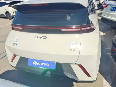 2024 BYD Seagull Glory Edition 305km Vitality Edition, фото 4, лот 10253247