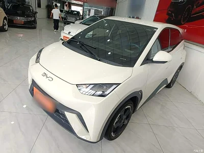 2024 BYD Seagull Glory Edition 405km Soaring Edition, фото 2, лот 10262930