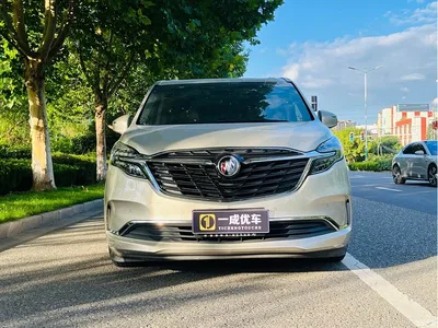 2021 Buick GL8 ES Landlord 653T Premium, фото 2, лот 10256115