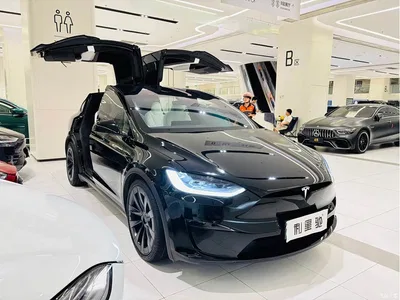 2023 Tesla Model X Dual Motor All-Wheel Drive Edition, фото 2, лот 10451862