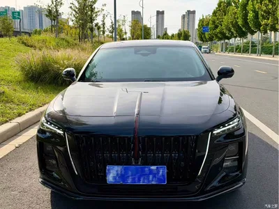 2025 Hongqi H5 2.0T Automatic Mystic Shadow, фото 1, лот 11536242