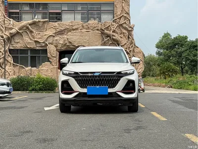 2022 Changan Oshan X7 PLUS 1.5T Blue Whale Automatic Geeker Navigation Edition, фото 2, лот 10407914