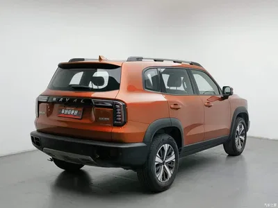 2021 Haval Big Dog 1.5T DCT 2WD Labrador Edition, фото 2, лот 10361985