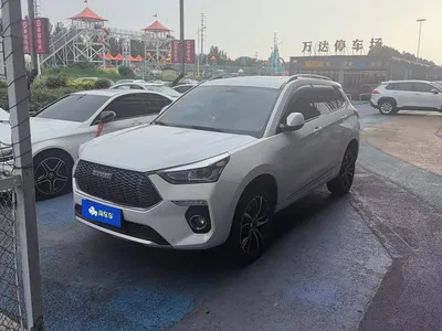 2018 Haval H6 Coupe Red Label 1.5T Auto 2WD Ultra Luxury, фото 1, лот 10298446