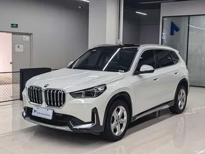 2024 BMW X1 sDrive20Li X Design Package, фото 1, лот 10466887