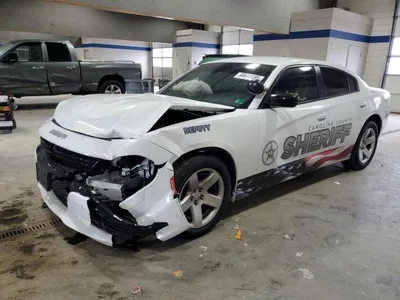 2023 DODGE CHARGER POLICE, фото 1, лот 10805256