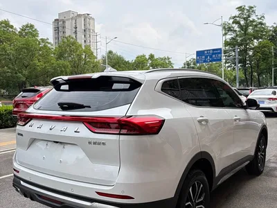 2021 Haval H6 National Trend Edition 1.5T Automatic Urban Edition, фото 4, лот 10283554