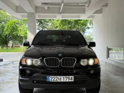 2003 BMW X5 4.4i, фото 2, лот 10081879