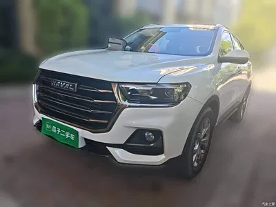 2021 Haval H6 Model National Trend Edition 1.5T Auto Champion, фото 1, лот 10286364