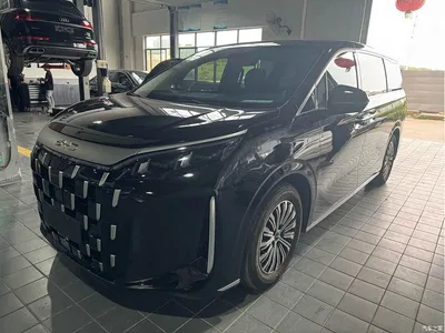 2025 BYD M9 Model 1060 Pilot Edition, фото 1, лот 11172999