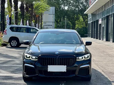 2019 BMW 7 Series 750Li xDrive V8 M Sport Package, фото 2, лот 10459005
