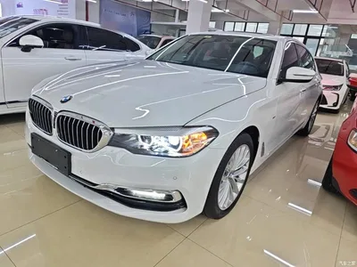 2018 BMW 5 Series Facelift 530Li Leading Luxury Package, фото 2, лот 10763900