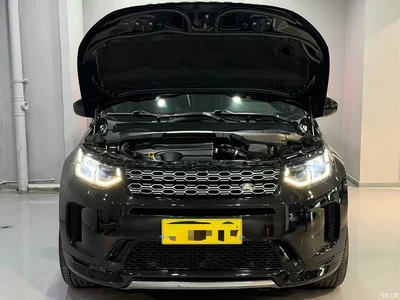 2020 Land Rover Discovery Sport 249PS R-Dynamic Performance, фото 2, лот 10335932