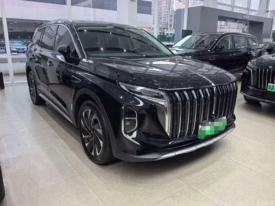2024 Hongqi HS7 PHEV 2.0T PHEV 4WD Flagship Edition 6-seater, фото 4, лот 10288050
