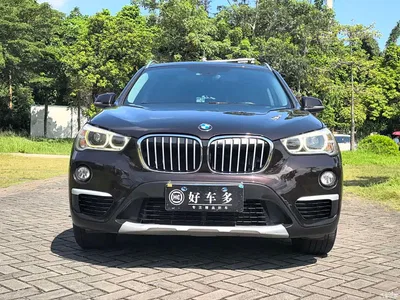 2018 BMW X1 xDrive20Li Premium Model, фото 2, лот 10399781