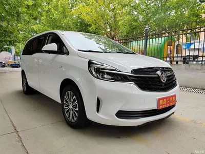 2021 Buick GL8 Land Business Class 652T Comfort, фото 3, лот 10251365