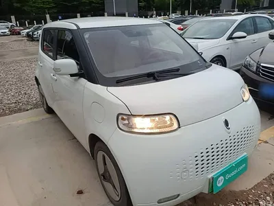 2020 Ora White Cat 360km Standard Model, фото 4, лот 10330499